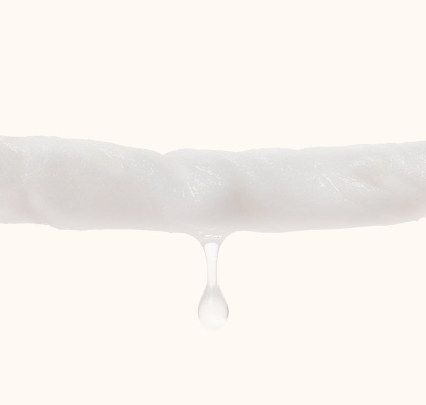 Pet Wipes Cat Dog Wipes